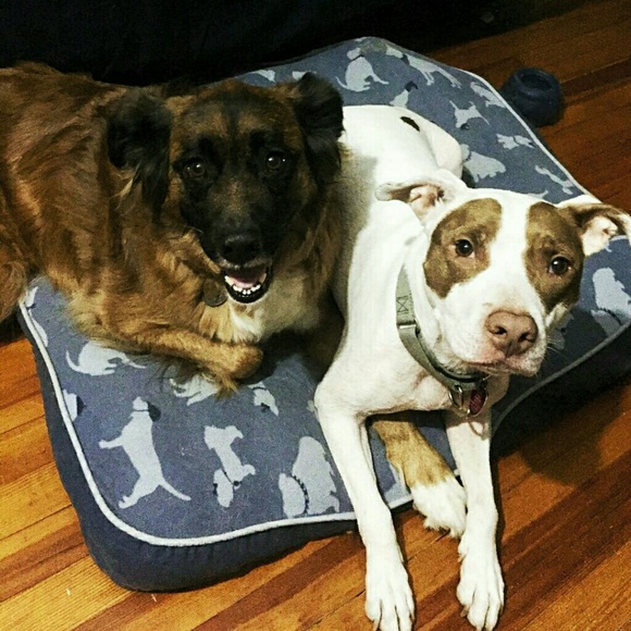 Meet your Posher, Chelsea - Picture 5 of 5